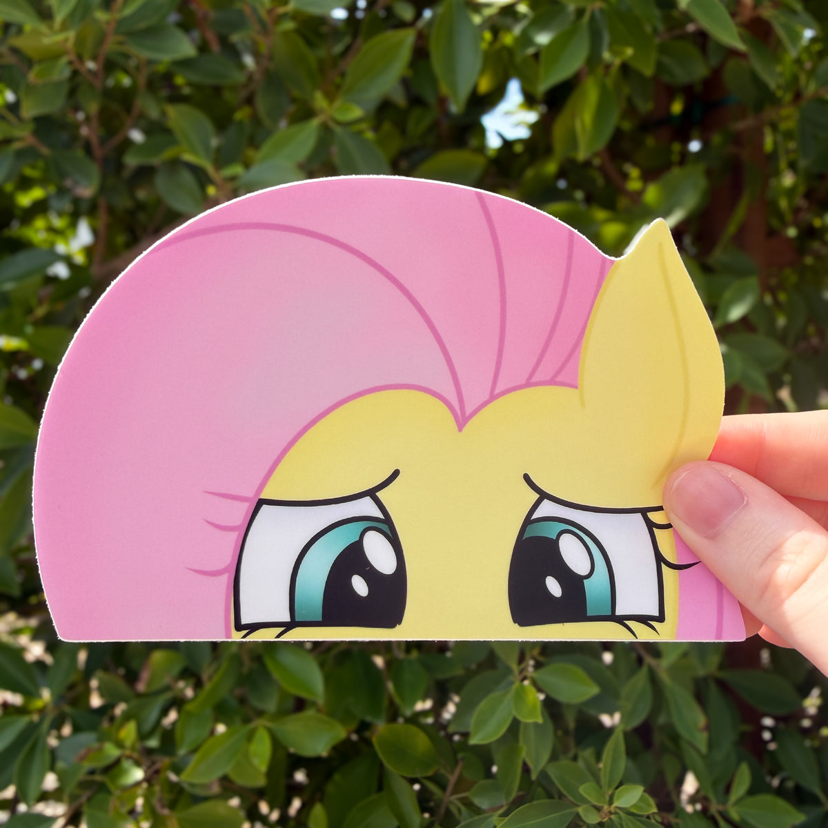 Flutter Pony Peeker
