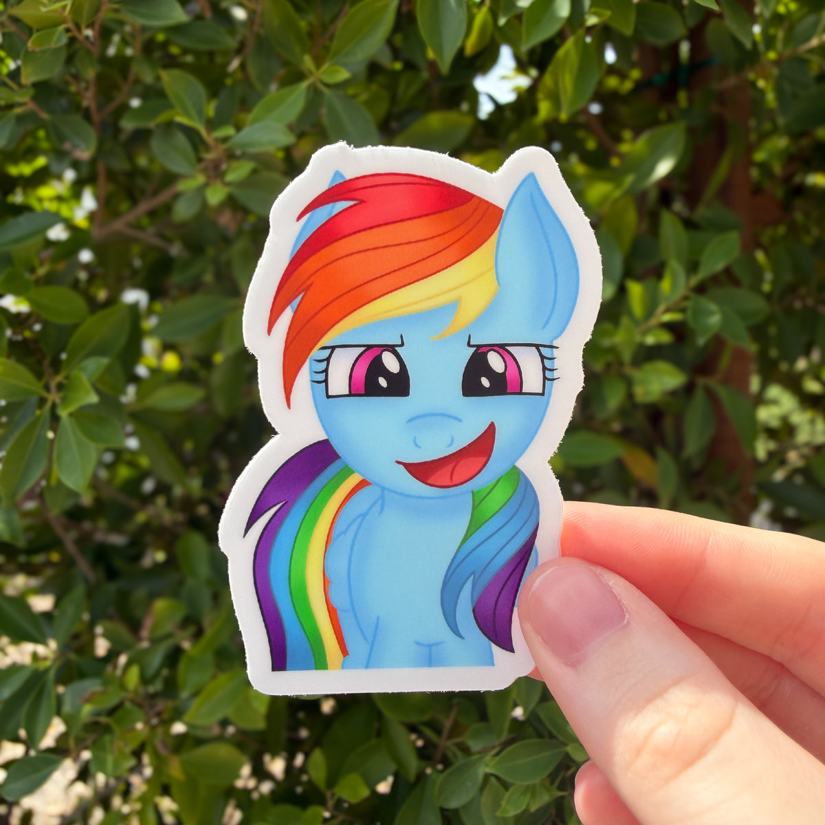 Rainbow Pony Sticker