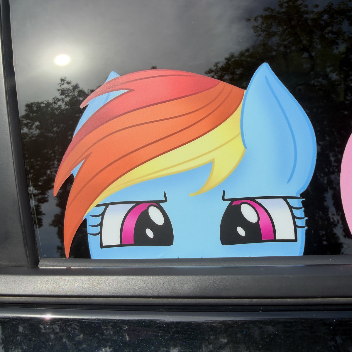 Rainbow Pony Peeker